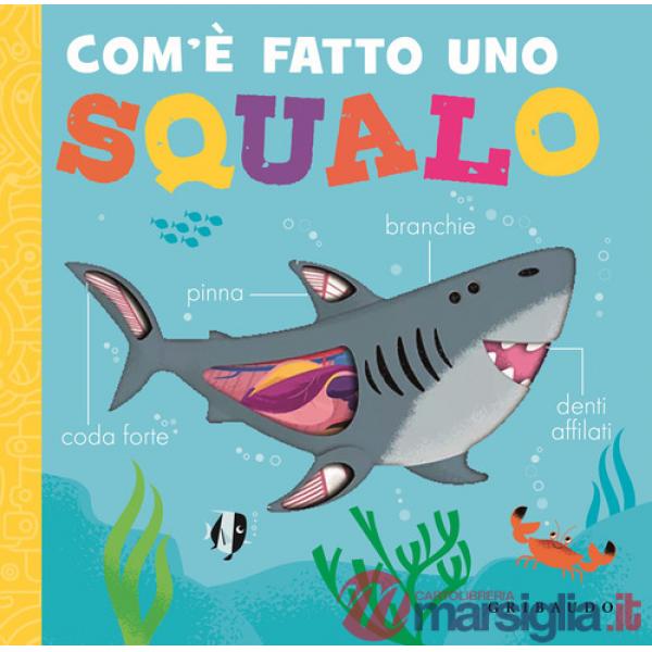 Com'è fatto uno squalo. Ediz. a colori