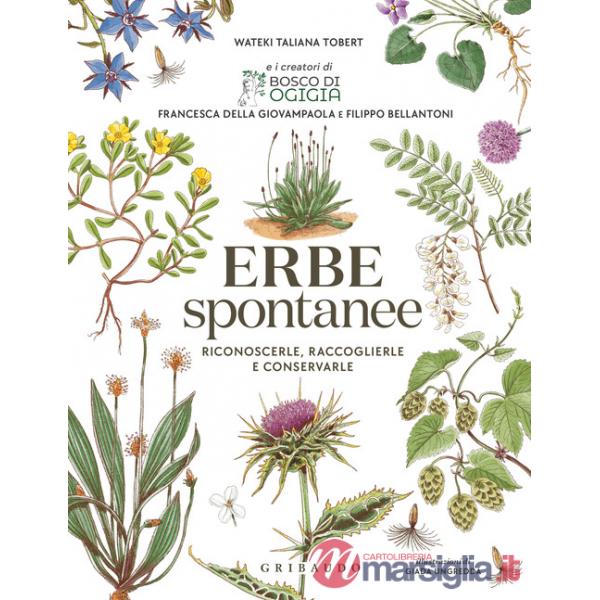 Erbe spontanee. Riconoscerle, raccoglierle e conservarle