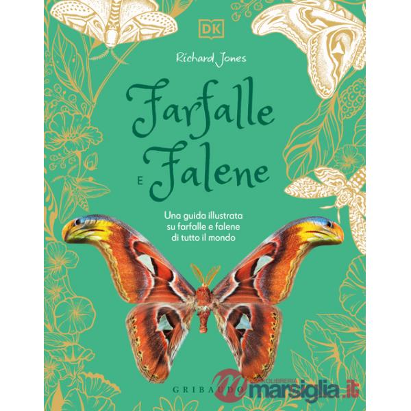 Farfalle e falene