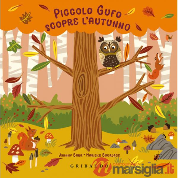 Piccolo Gufo scopre l'autunno. Ediz. a colori