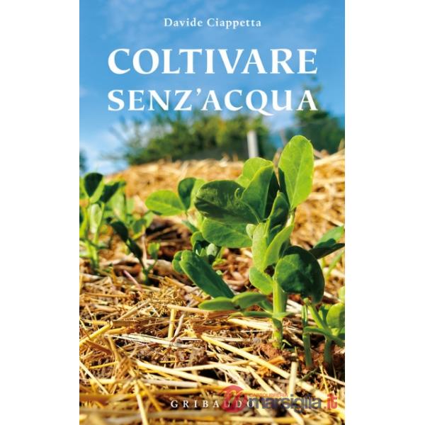 Coltivare senz'acqua