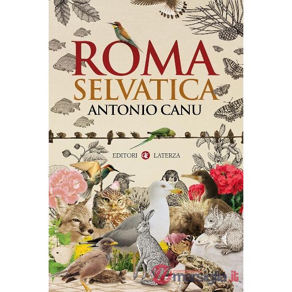 Roma selvatica