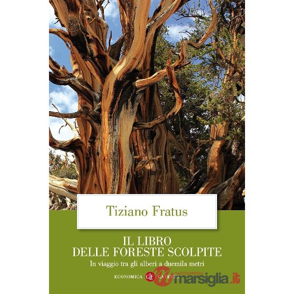 Libro delle foreste scolpite. In viaggio tra gli alberi a duemila metri (Il)