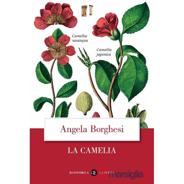 Camelia (La)