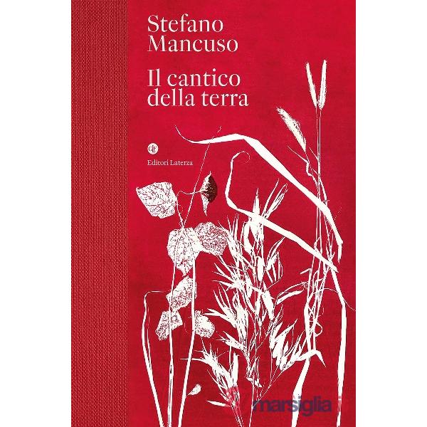 Cantico della terra (Il)