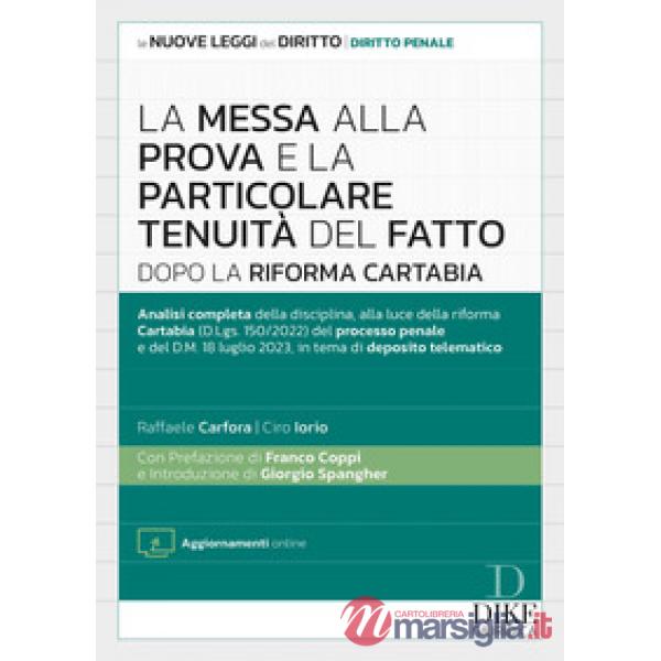 La messa alla prova e la particolare tenuità del fatto dopo la Riforma Cartabia