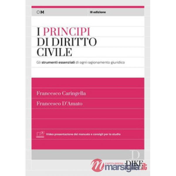 I principi del diritto civile. Gli strumenti essenziali di ogni ragionamento giuridico