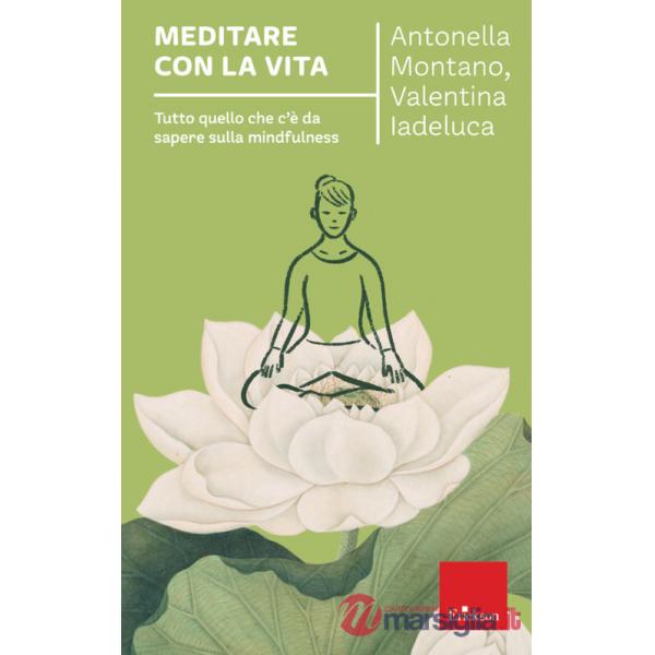 Meditare con la vita. Tutto quello che c'è da sapere sulla mindfulness