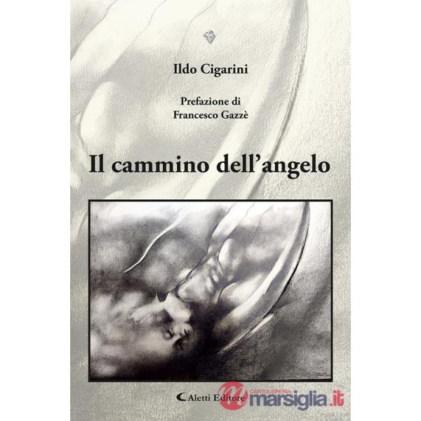 Cammino dell'angelo (Il)