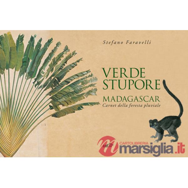Verde stupore. Madagascar. Carnet della foresta pluviale