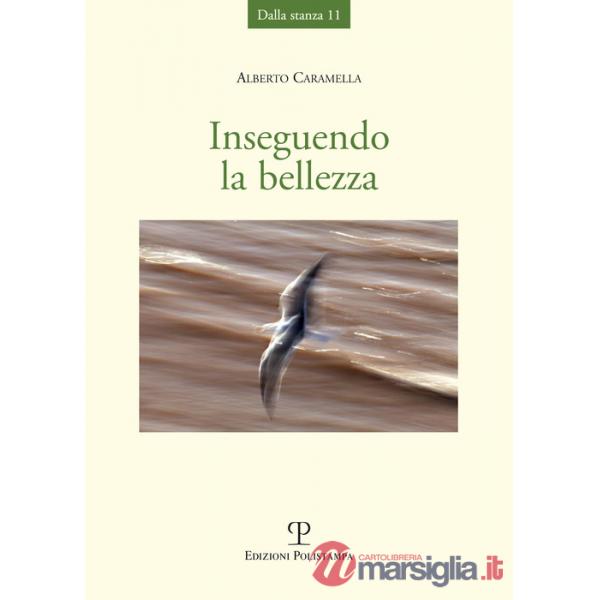 Inseguendo la bellezza
