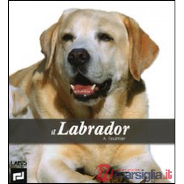Labrador (Il)