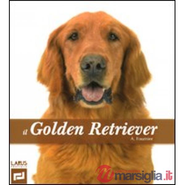 Golden retriever (Il)