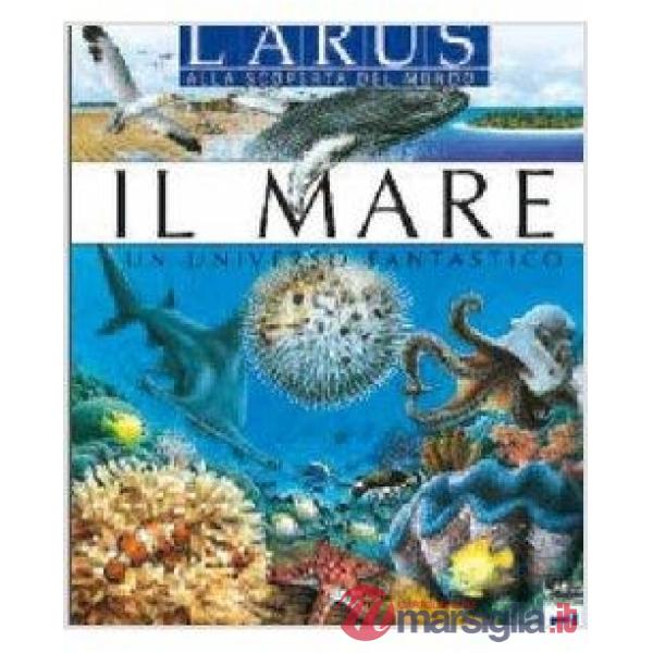 Mare (Il)