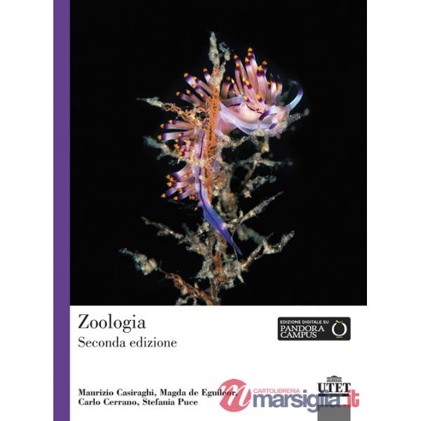 Zoologia