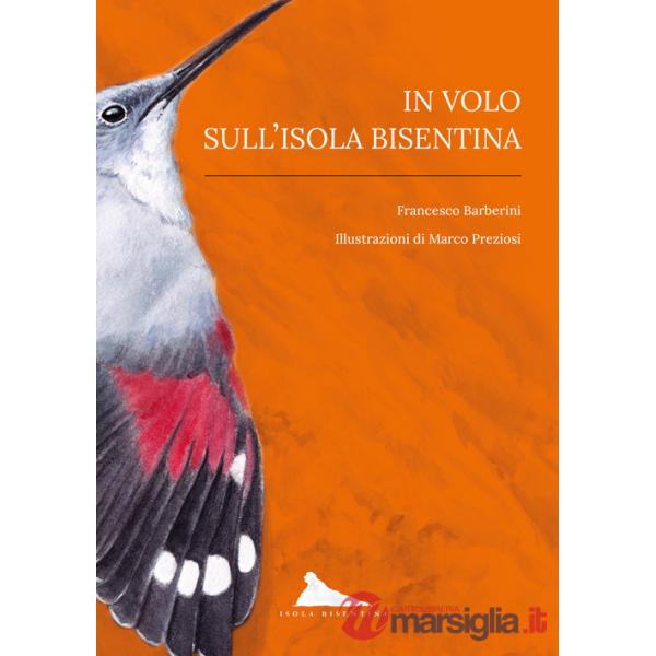 In volo sull'isola Bisentina