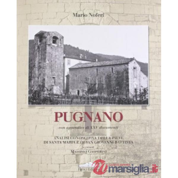 Pugnano. Analisi conoscitiva della pieve di Santa Maria e di San Giovanni Battis