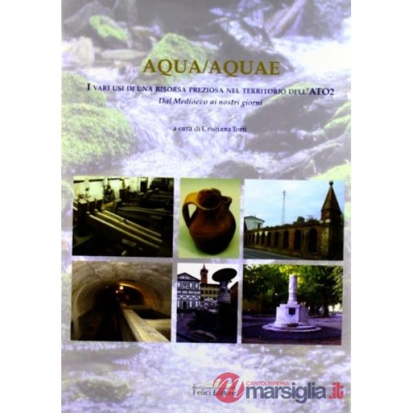 Aqua/aquae. I vari usi di una risorsa preziosa nel territorio dell'Ato2. Dal Med
