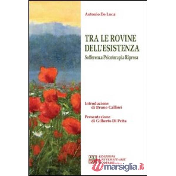 Tra le rovine dell'esistenza. Sofferenza, psicoterapia, ripresa