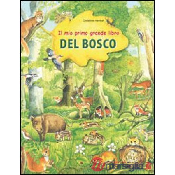 Mio primo grande libro del bosco. Ediz. illustrata (Il)