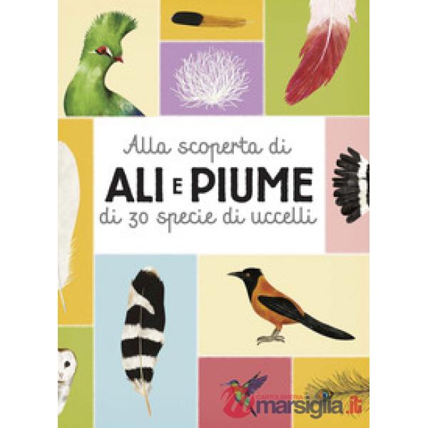 Alla scoperta di ali e piume di 30 specie di uccelli