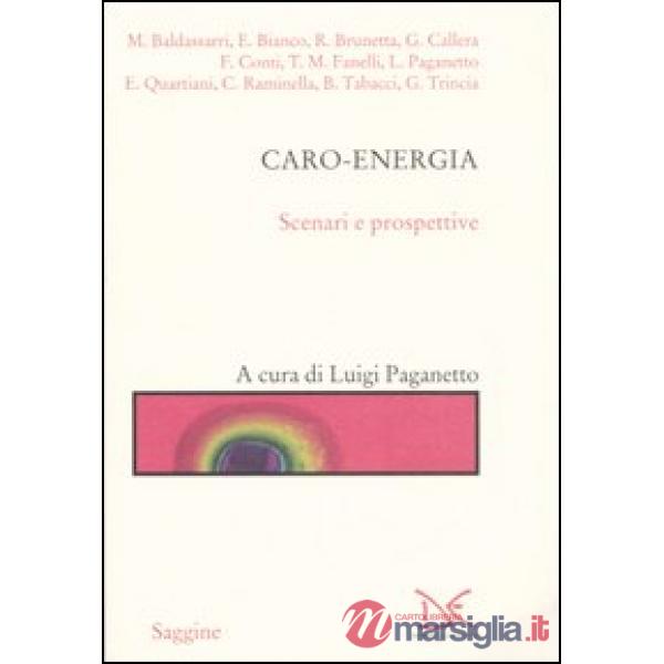 Caro-energia. Scenari e prospettive