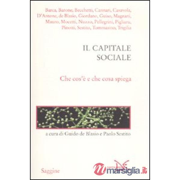 Capitale sociale. Che cos'è e che cosa spiega (Il)