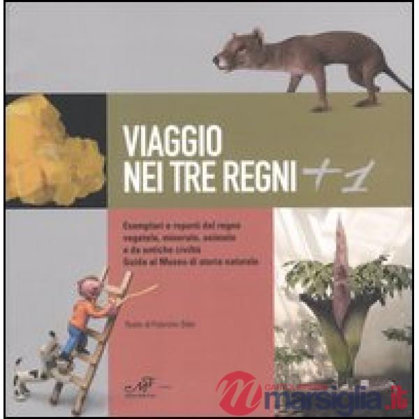 Viaggio nei tre regni +1