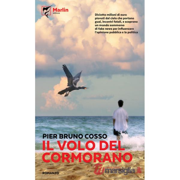 Volo del cormorano (Il)