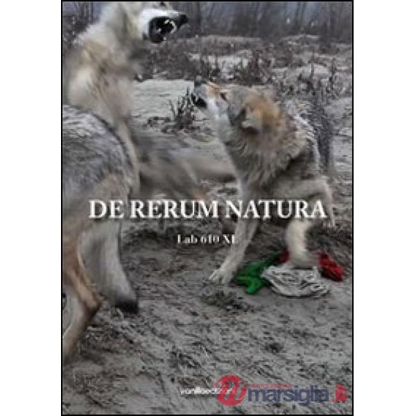 De rerum natura. Ediz. illustrata
