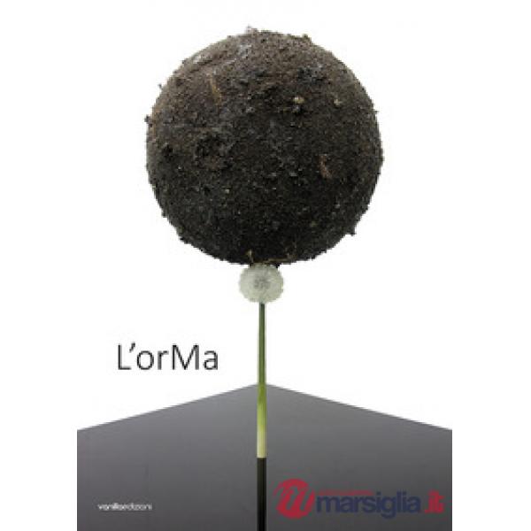 OrMa. Alla ricerca della sorprendente bellezza. Ediz. a colori (L')