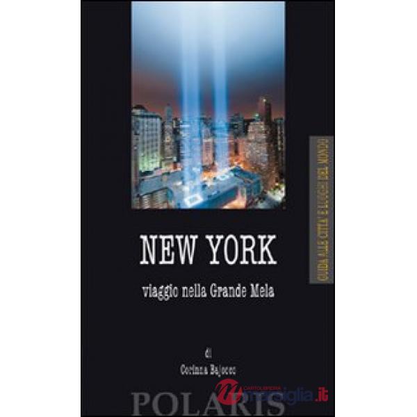 New York. Viaggio nella Grande Mela