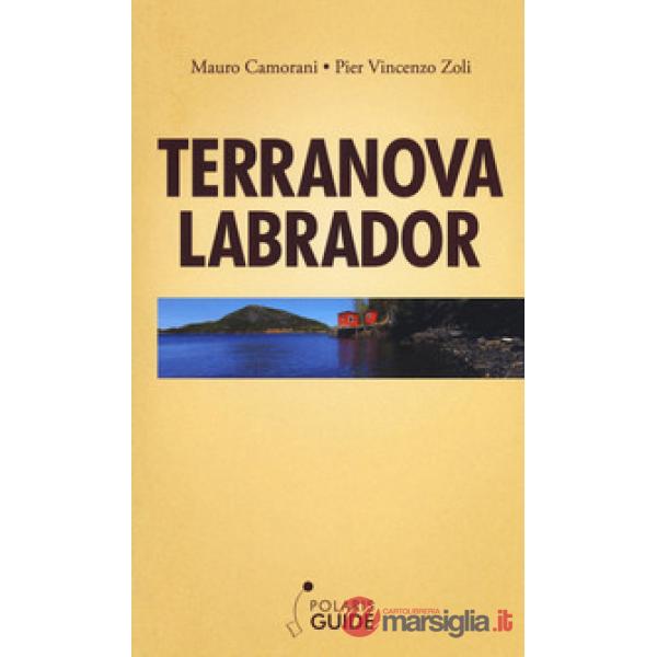 Terranova Labrador