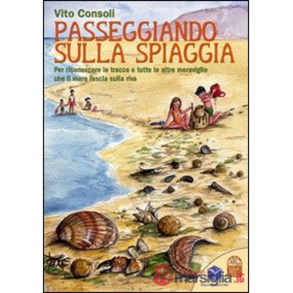 Passeggiando sulla spiaggia. Per riconoscere le tracce e tutte le altre meraviglie che il mare lascia sulla riva. Ediz. illustra