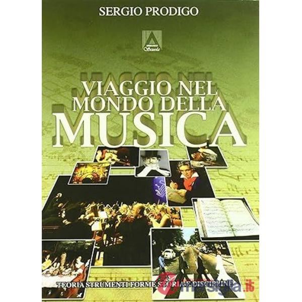 Viaggio nel mondo della musica. Teoria, strumenti, forme, storia e discipline