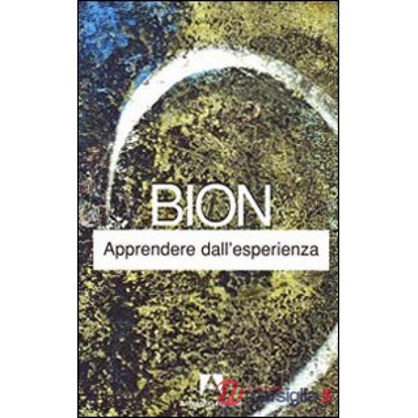 Apprendere dall'esperienza