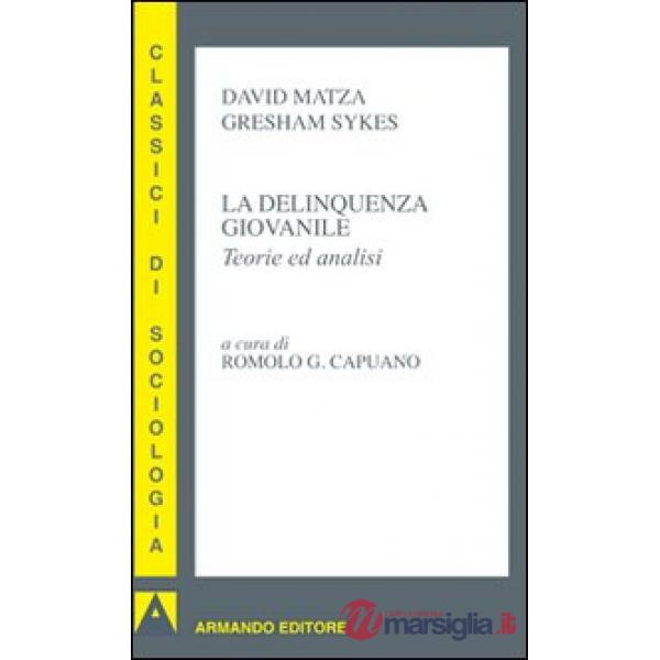 Delinquenza giovanile. Teorie ed analisi (La)