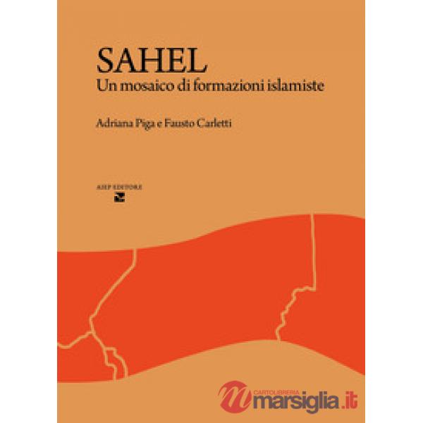Sahel. Un mosaico di formazioni islamiste