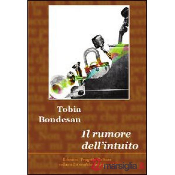 Rumore dell'intuito (Il)