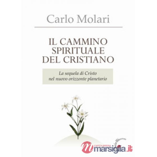 Il Cammino spirituale del cristiano. La sequela di Cristo nel nuovo orizzonte planetario
