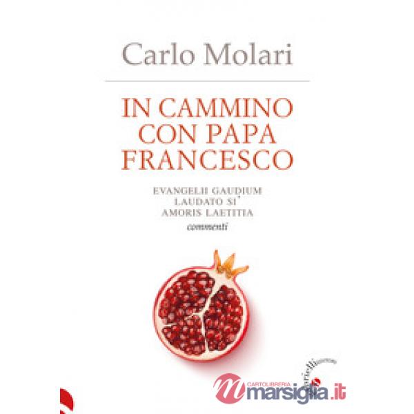 In cammino con papa Francesco. Evangelii Gaudium, Laudato si', Amoris laetitia. Commenti