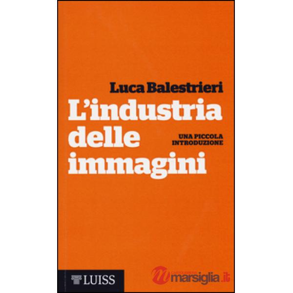 Industria delle immagini. Una piccola introduzione (L')
