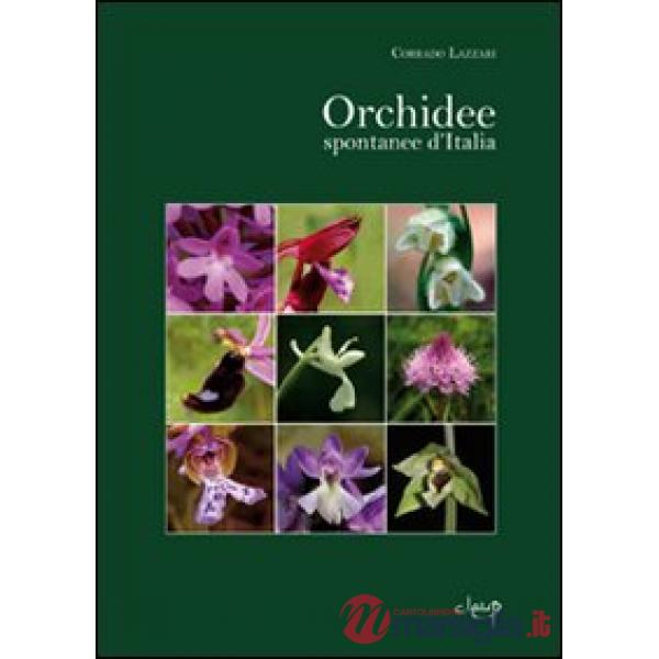 Orchidee spontanee d'Italia