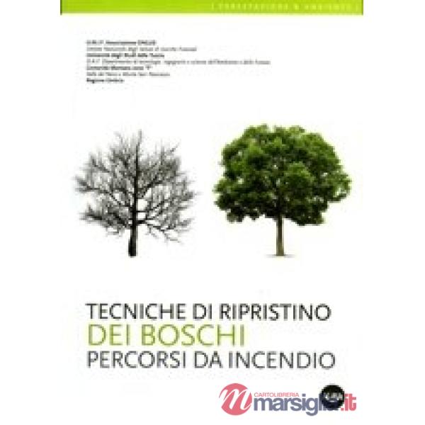 Tecniche di ripristino dei boschi percorsi da incendio