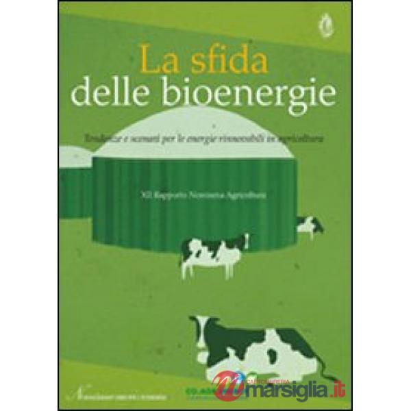 Sfida delle bioenergie. Tendenze e scenari per le energie rinnovabili in agricoltura. 12° Rapporto Nomisma agricoltura (La)