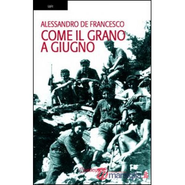 Come il grano a giugno