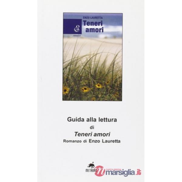 Guida alla lettura di «Teneri amori» romanzo di Enzo Lauretta