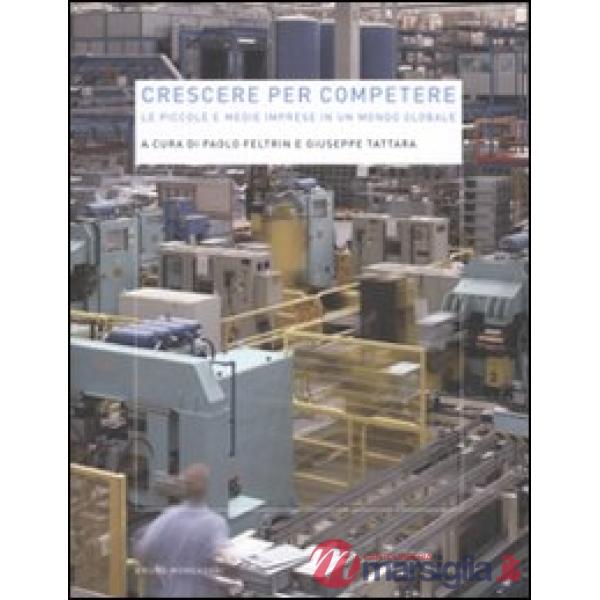 Crescere per competere. Le piccole e medie imprese in un mondo globale