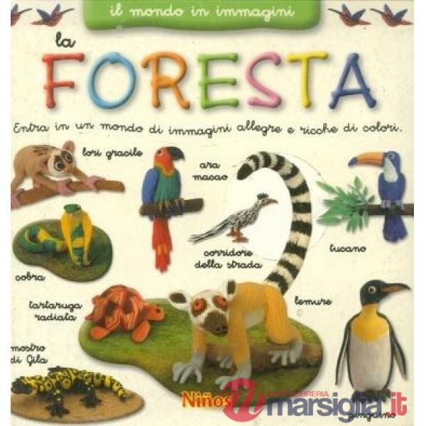 Mondo in immagini. Foresta