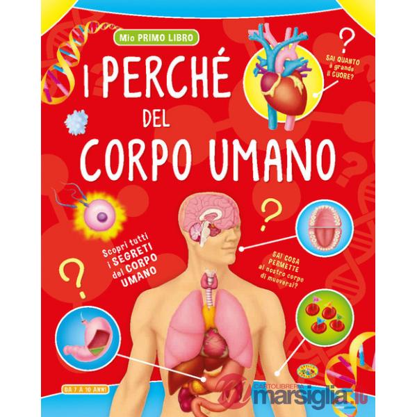 Perché del corpo umano (I)